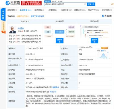 螞蟻集團上市在即，金融信息技術外包助推全球最大規模IPO