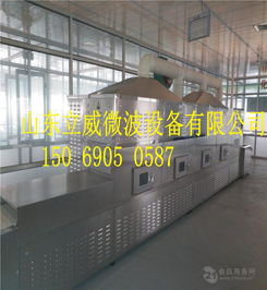 西洋參切片微波干燥設(shè)備選購指南與市場價格分析